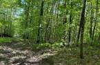 Terre/Terrain