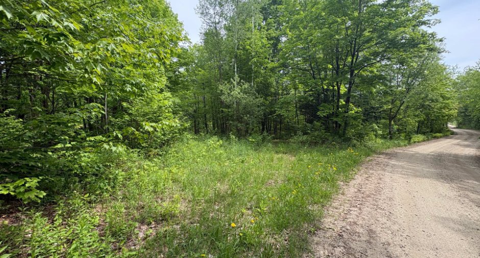 Land/Lot