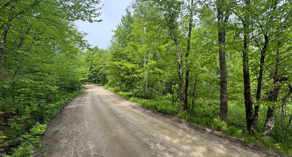 Land/Lot