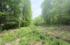 Terre/Terrain