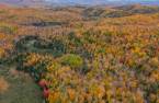 Terre/Terrain