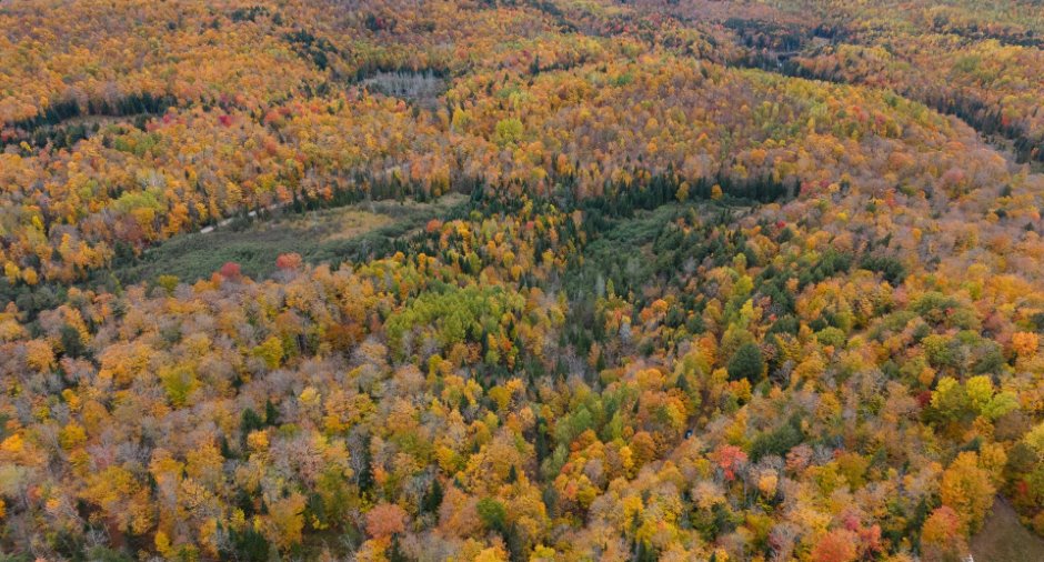 Terre/Terrain