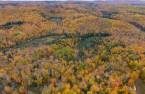 Terre/Terrain