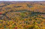 Terre/Terrain