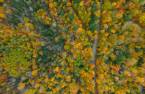 Terre/Terrain
