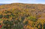 Terre/Terrain