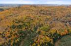 Terre/Terrain