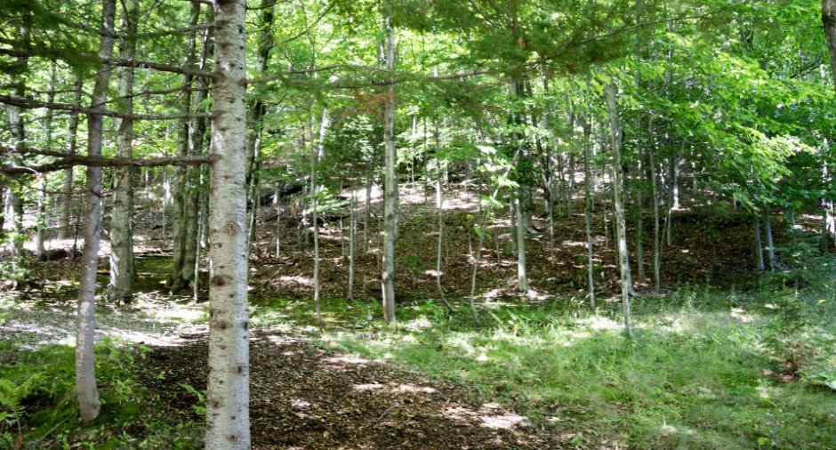 Terre/Terrain