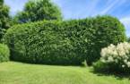 Terre/Terrain