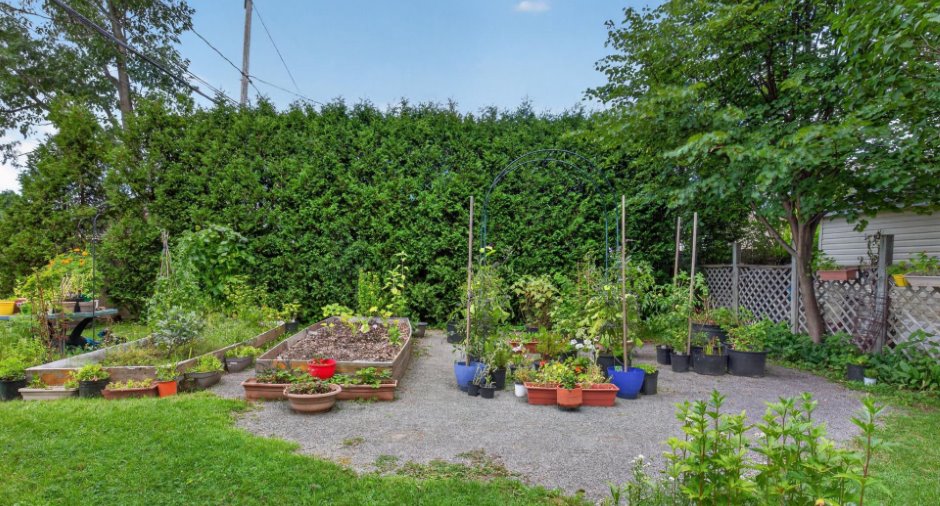 Jardin