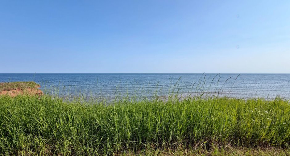 Bord de l'eau