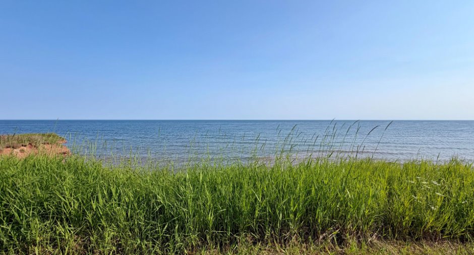 Bord de l'eau