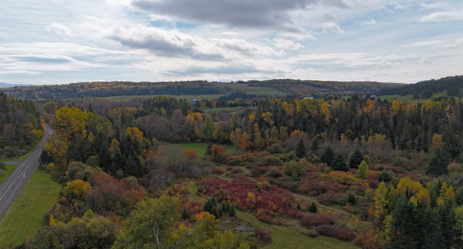 Aerial photo