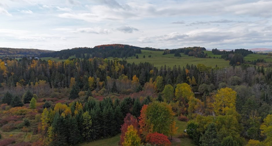Aerial photo