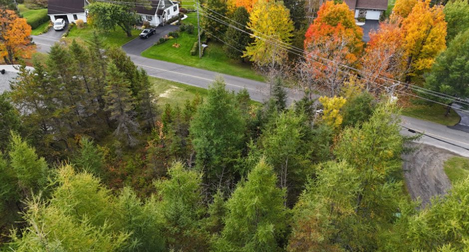 Aerial photo