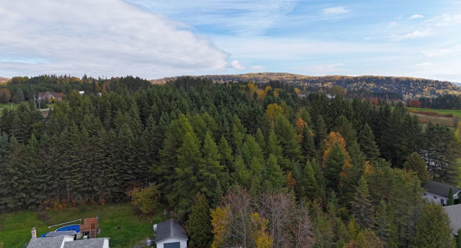 Aerial photo