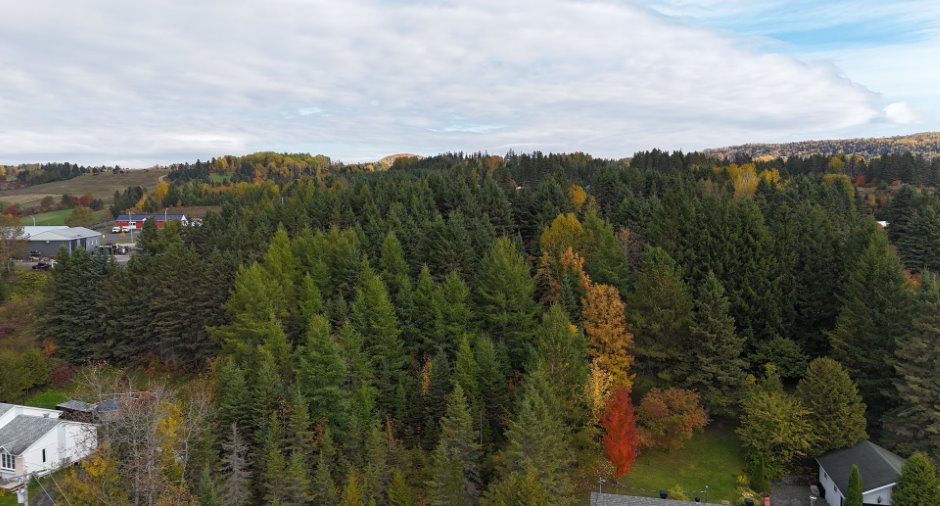 Aerial photo