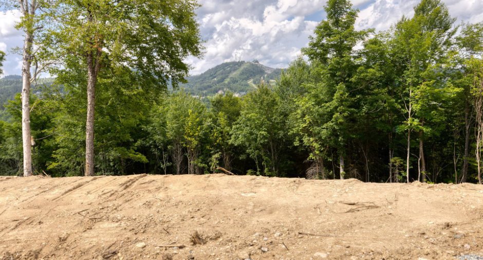 Land/Lot