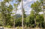 Land/Lot