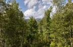 Land/Lot