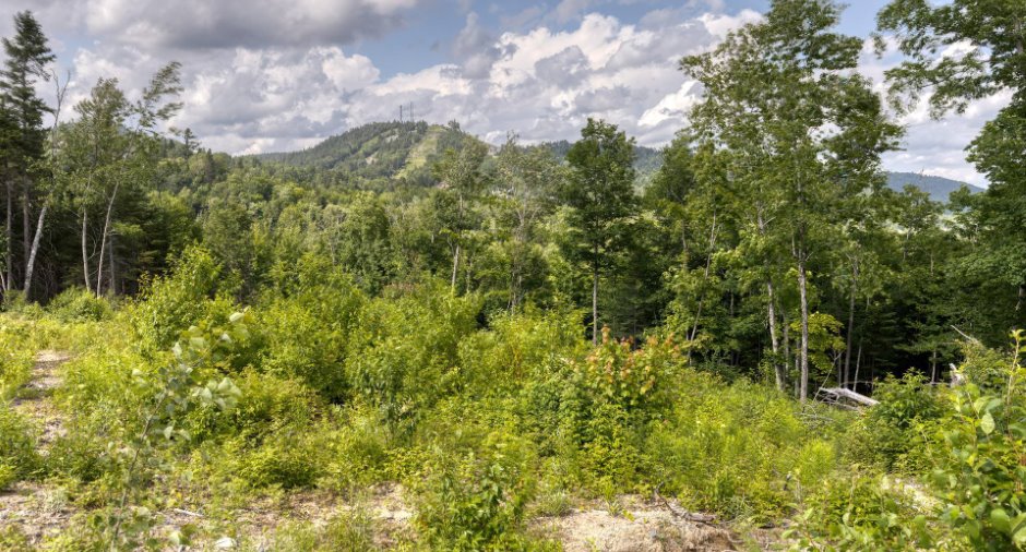 Land/Lot