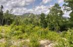 Land/Lot