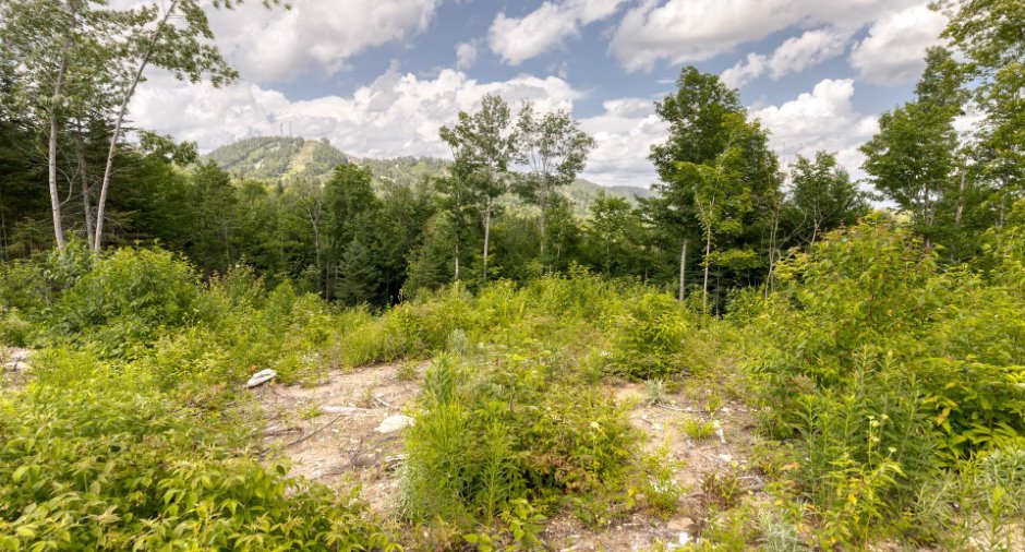 Land/Lot