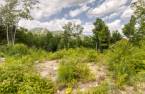 Land/Lot