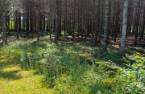 Terre/Terrain