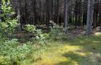 Terre/Terrain
