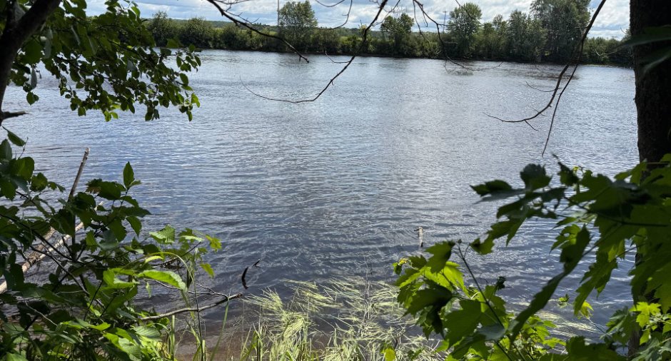 Bord de l'eau