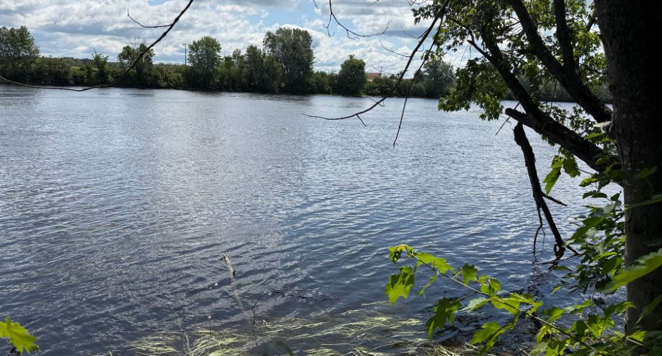 Bord de l'eau