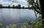 Bord de l'eau