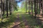 Terre/Terrain