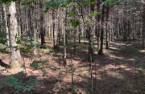 Terre/Terrain