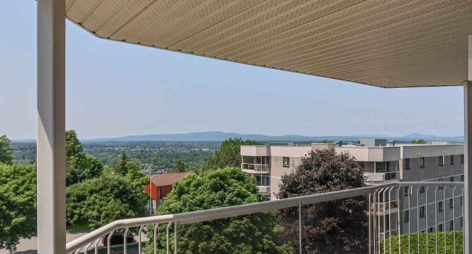 Vue