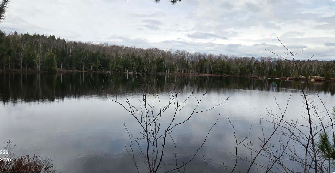 815 4e avenue du Lac-Long — photo 2