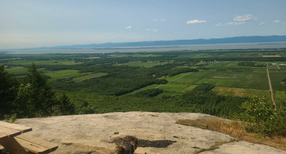 Vue sur l'eau