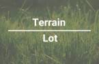 Terre/Terrain