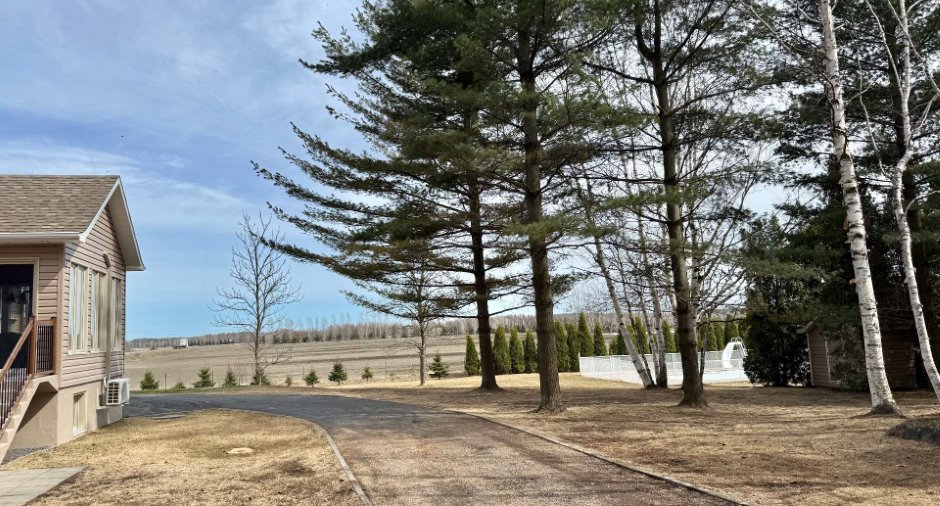 Overall View