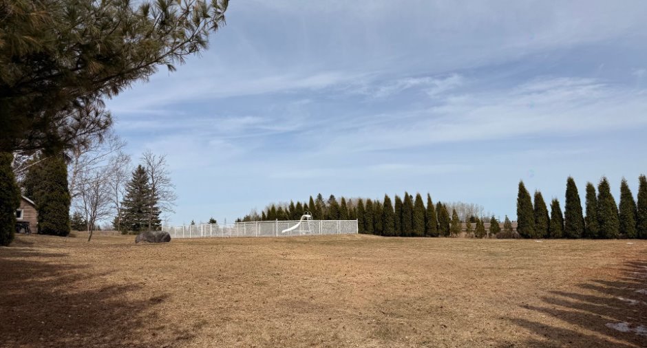 Overall View