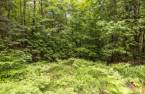 Terre/Terrain