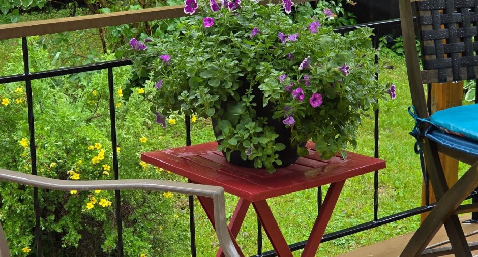 Jardin
