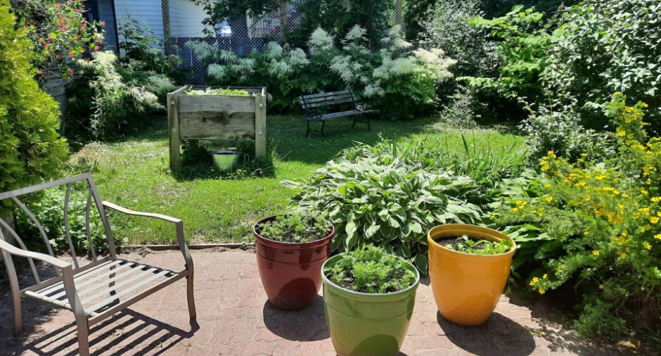 Jardin