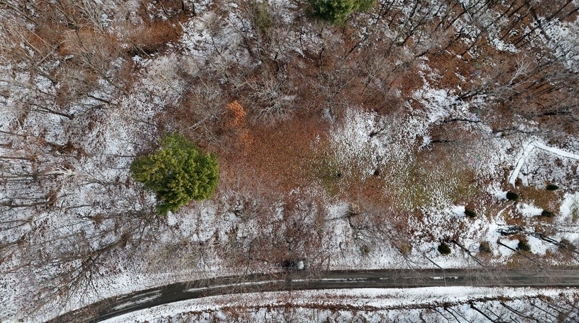 265 Ch. Dallaire — photo 2