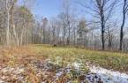 Terre/Terrain