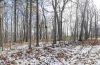 Terre/Terrain