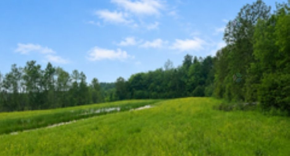 Land/Lot