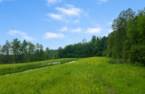 Land/Lot