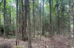 Land/Lot